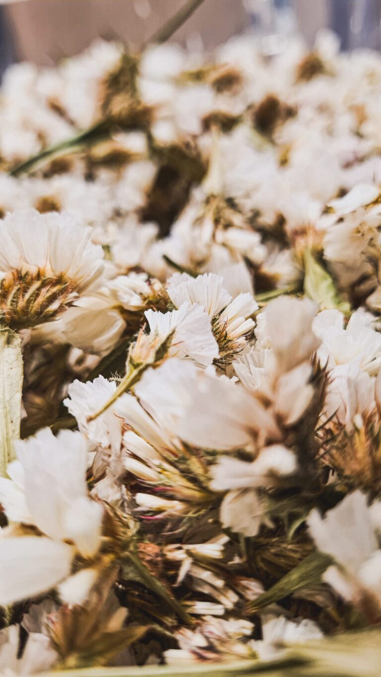 Purposeful Ingredients